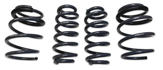 034 Motorsports Dynamic+ Lowering Springs - 8Y Audi RS3